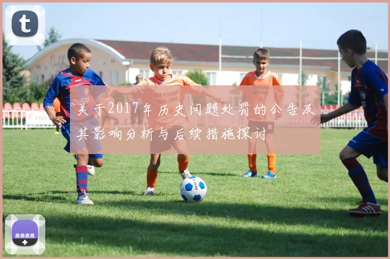 关于2017年历史问题处罚的公告及其影响分析与后续措施探讨