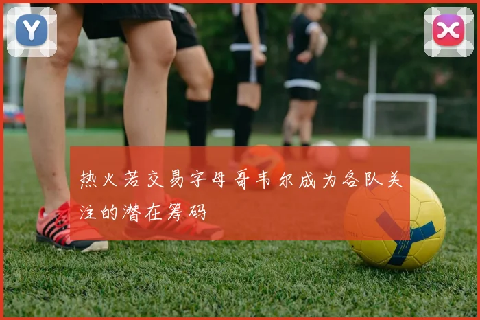热火若交易字母哥韦尔成为各队关注的潜在筹码